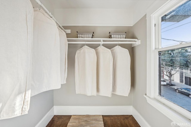 spacious closet featuring wood finished floors