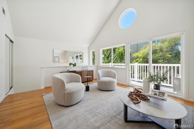 sitting room featuring wood-type flooring and high vaulted ceiling