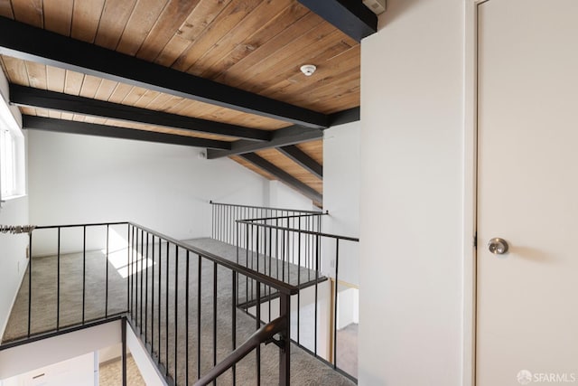 hallway with carpet floors, wooden ceiling, and lofted ceiling with beams