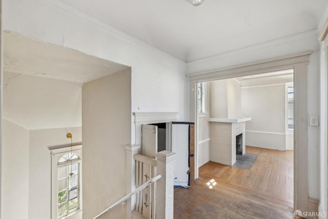 2440-2442 Balboa St, San Francisco, CA 94121 - hallway featuring wood finished floors, plenty of natural light, crown molding, and an upstairs landing