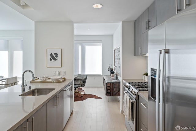 kitchen with gray cabinets, sink, light wood-type flooring, and appliances with stainless steel finishes