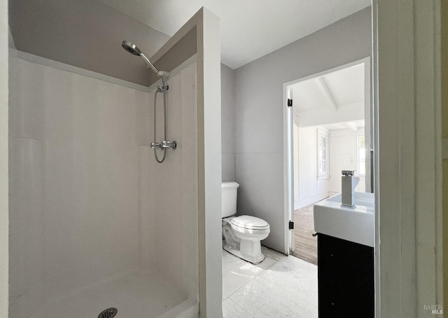 bathroom featuring toilet, vanity, a shower, and wood-type flooring