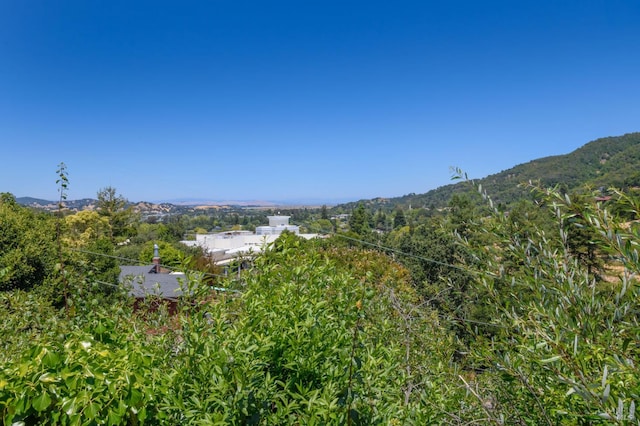 19 Tarrant Ct, San Rafael, CA 94903 - photo 24