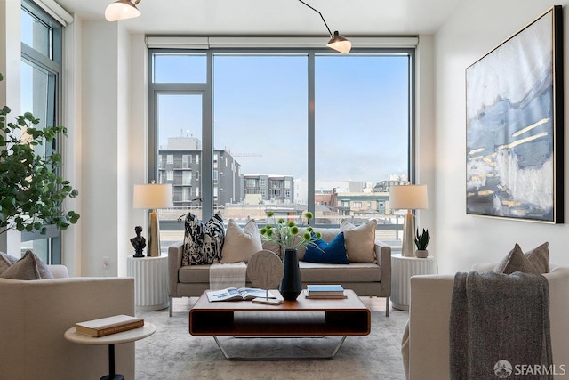 living room with a healthy amount of sunlight and expansive windows