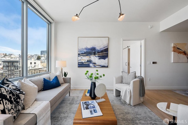 living room featuring hardwood / wood-style flooring and plenty of natural light