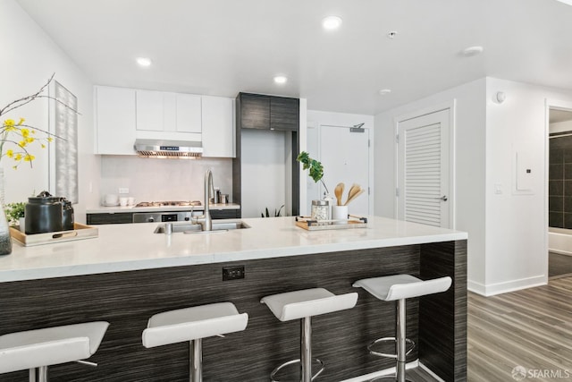 1688 Pine St Unit E709, San Francisco, CA 94109 - kitchen featuring extractor fan, a sink, modern cabinets, light wood-style flooring, and light countertops
