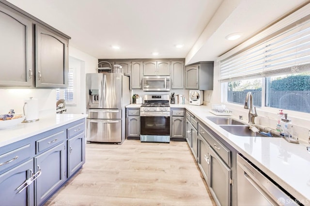 kitchen with light wood-style flooring, light countertops, stainless steel appliances, gray cabinetry, and a sink