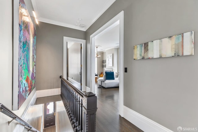 corridor with ornamental molding and dark hardwood / wood-style flooring