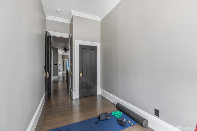 interior space with dark hardwood / wood-style floors and ornamental molding