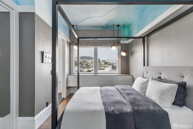 bedroom with hardwood / wood-style floors