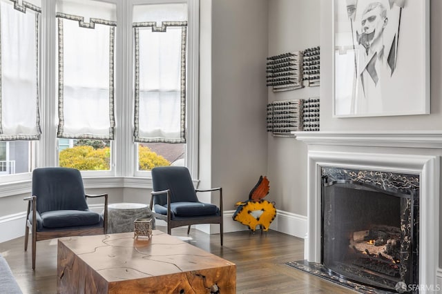 living area with a premium fireplace and dark hardwood / wood-style floors