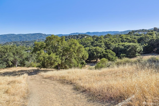 12553 Parker Ranch Ct, Saratoga, CA 95070 - view of mountain background featuring a heavily wooded area