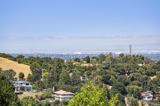 12553 Parker Ranch Ct, Saratoga, CA 95070 - aerial view of a heavily wooded area