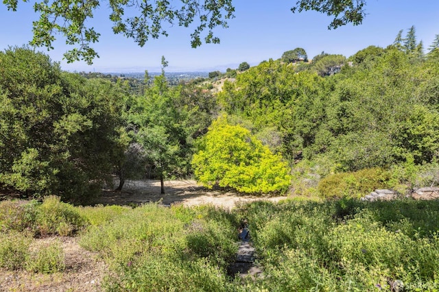 12553 Parker Ranch Ct, Saratoga, CA 95070 - view of woods