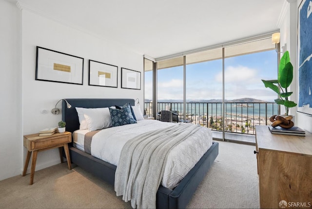 999 Green St Unit 2001, San Francisco, CA 94133 - photo 21