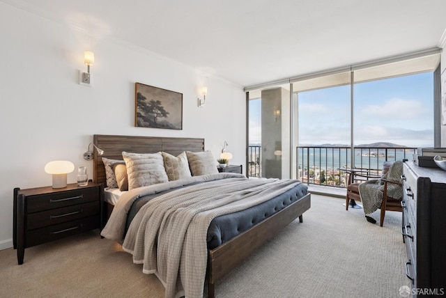 999 Green St Unit 2001, San Francisco, CA 94133 - photo 29