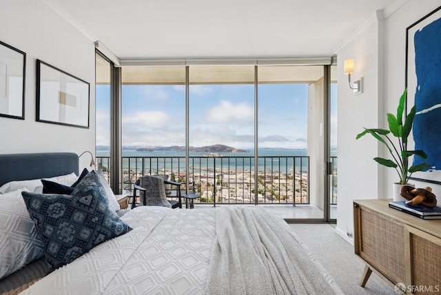 999 Green St Unit 2001, San Francisco, CA 94133 - photo 22