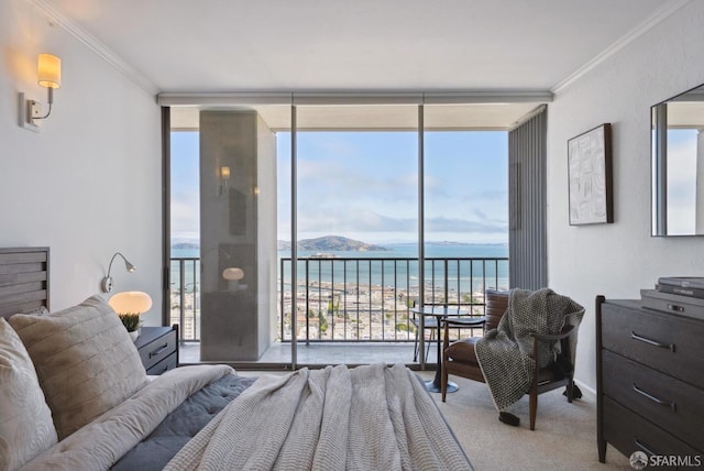999 Green St Unit 2001, San Francisco, CA 94133 - photo 28