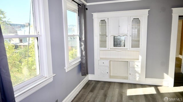 doorway to outside featuring dark hardwood / wood-style flooring, crown molding, and plenty of natural light