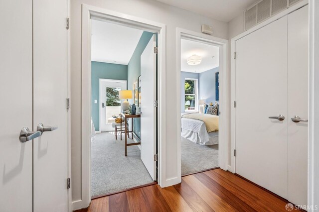 364 Shotwell St Unit 101, San Francisco, CA 94110 - photo 23