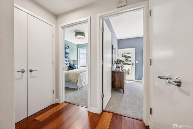 364 Shotwell St Unit 101, San Francisco, CA 94110 - photo 34
