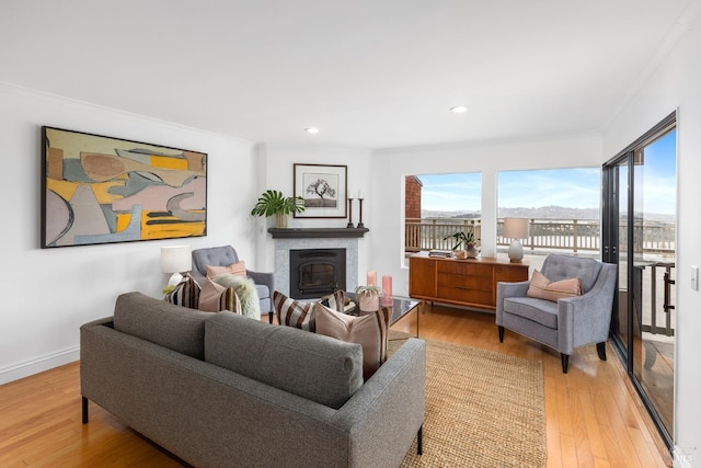 living area featuring light wood-type flooring, a fireplace, and crown molding