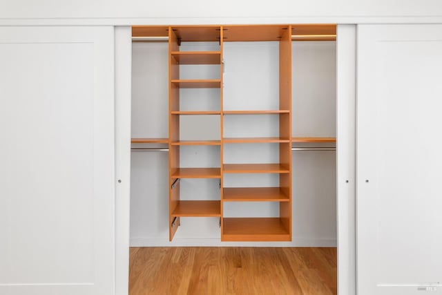 view of closet