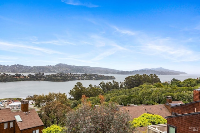 water view featuring a mountain view