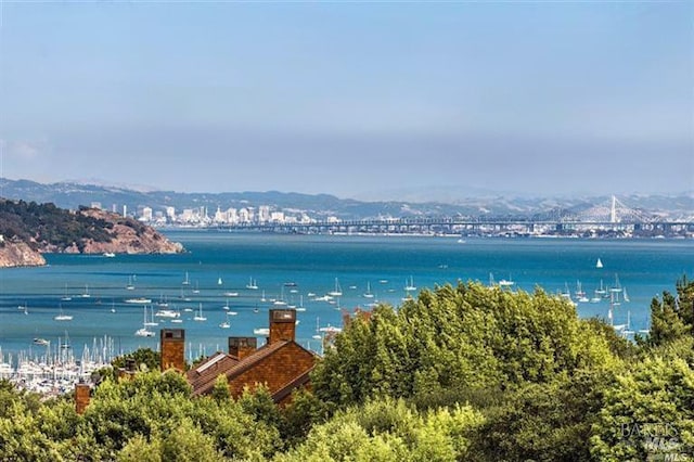 property view of water with a mountain view