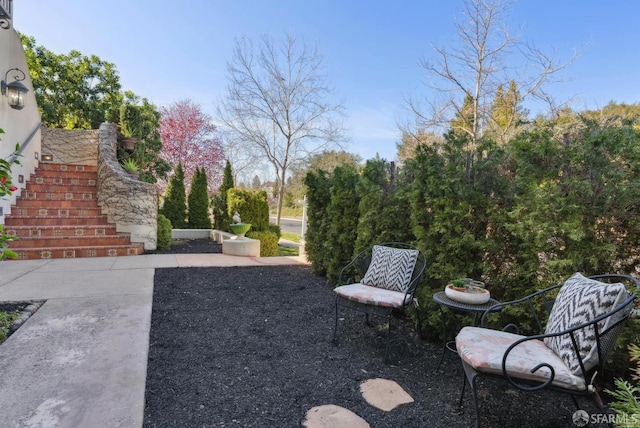 view of yard featuring stairs and a patio area