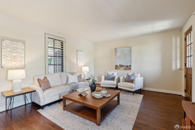 living room featuring baseboards and wood-type flooring