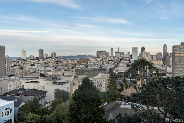 1800 Gough St Unit 7, San Francisco, CA 94109 - skyline view