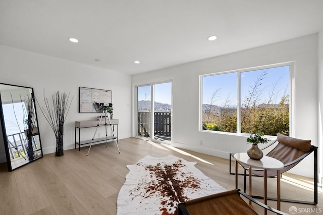 226 Rutledge St, San Francisco, CA 94110 - living area with light wood-style floors, recessed lighting, and baseboards