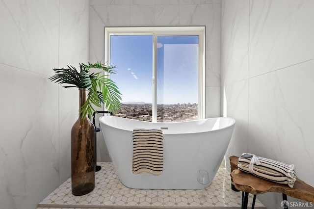 226 Rutledge St, San Francisco, CA 94110 - bathroom view of a soaking tub and tile walls
