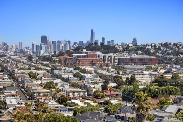 226 Rutledge St, San Francisco, CA 94110 - skyline view