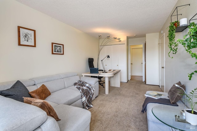 carpeted living area with a textured ceiling