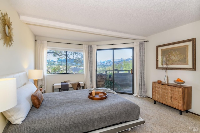 carpeted bedroom with multiple windows, a textured ceiling, and access to outside