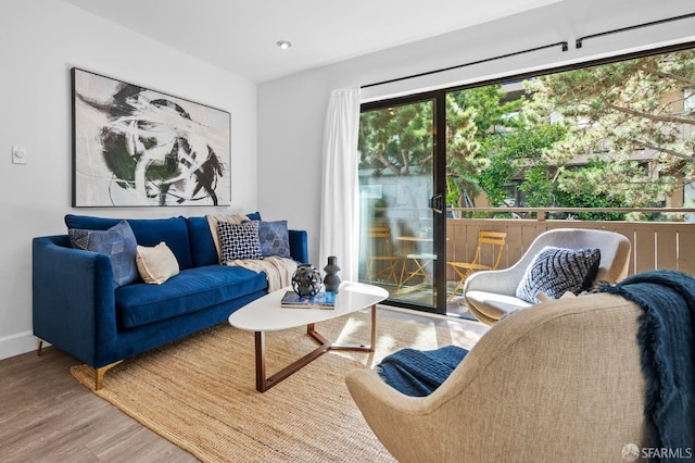 living room with wood-type flooring