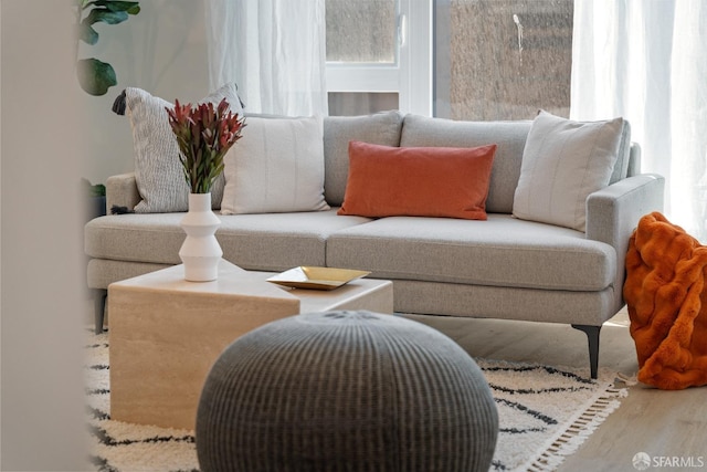 living room featuring hardwood / wood-style floors