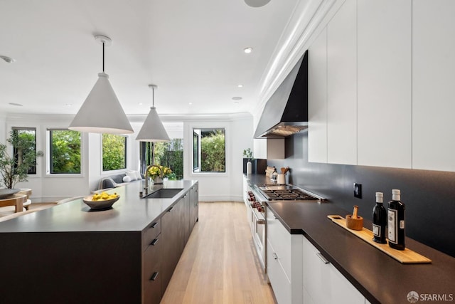 kitchen featuring a sink, custom exhaust hood, modern cabinets, light wood-style flooring, and crown molding