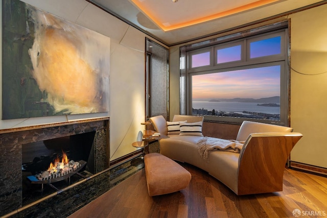 947 Green St Unit 6, San Francisco, CA 94133 - living area with wood finished floors and a fireplace