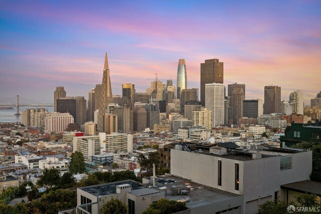947 Green St Unit 6, San Francisco, CA 94133 - city view
