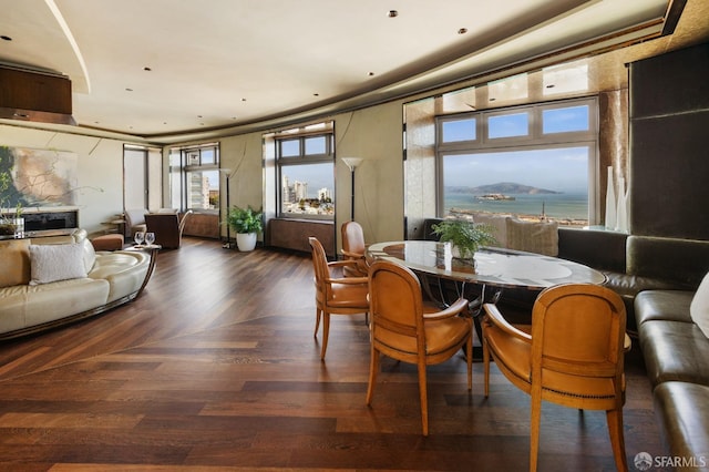dining area featuring a fireplace and wood finished floors