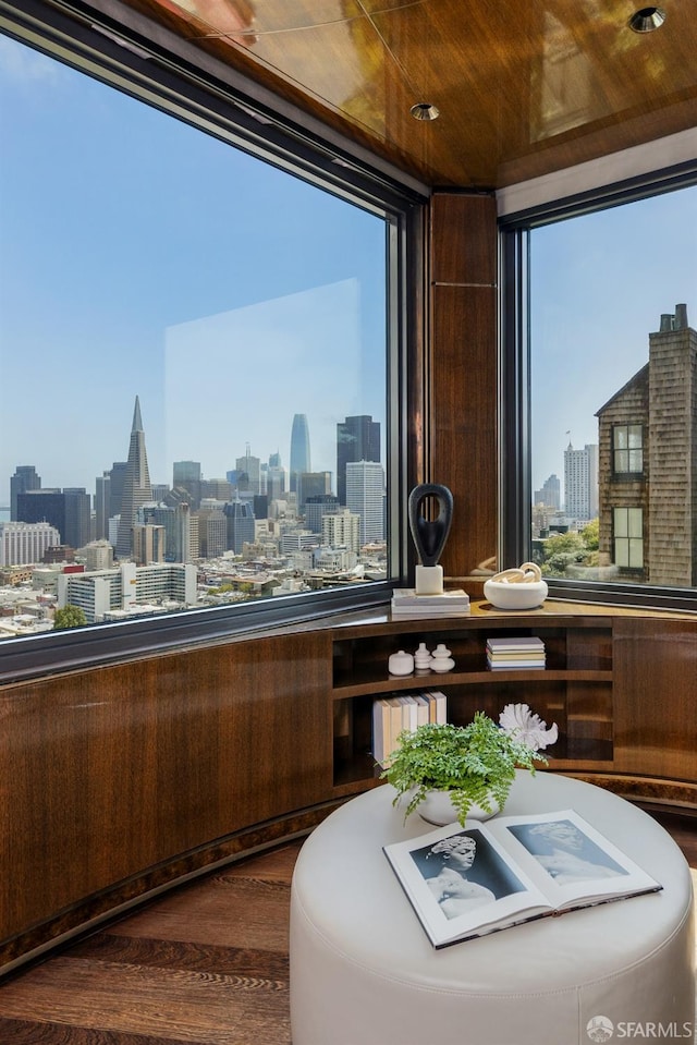 interior space with a view of skyline, dark wood-style flooring, and plenty of natural light