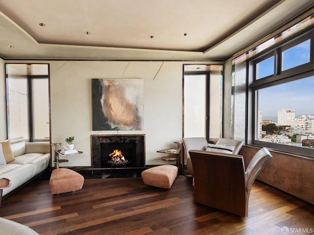 sitting room featuring a tray ceiling, wood finished floors, a premium fireplace, and a view of city