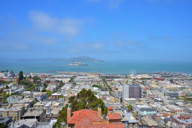 drone / aerial view of a large body of water