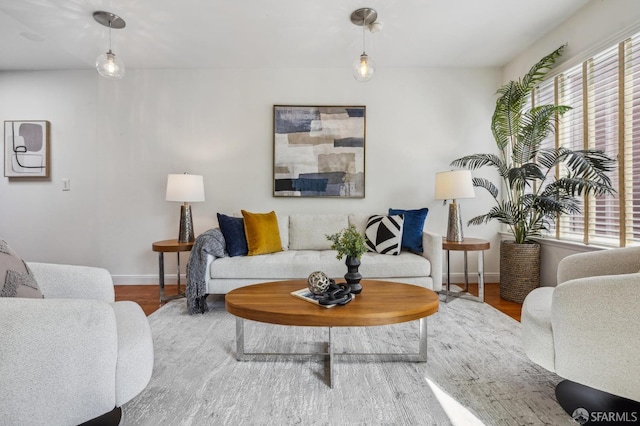 living room with baseboards and wood finished floors