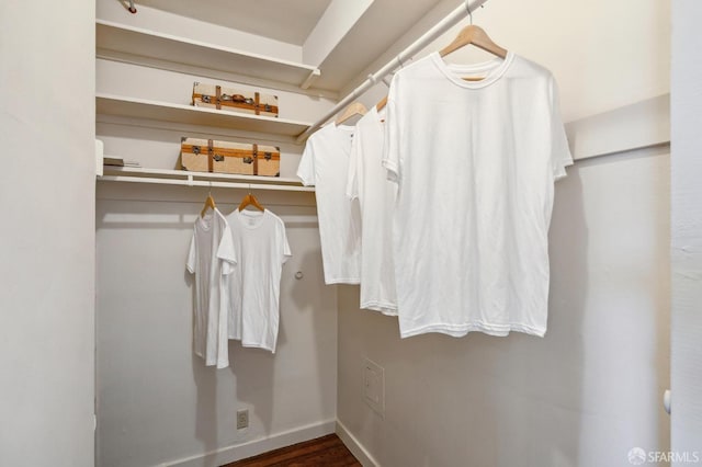 spacious closet featuring wood finished floors