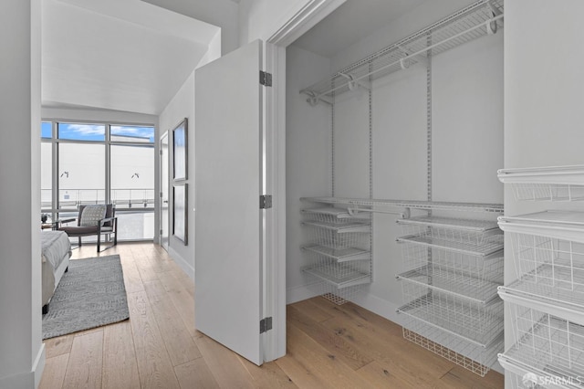 walk in closet featuring light wood-style flooring