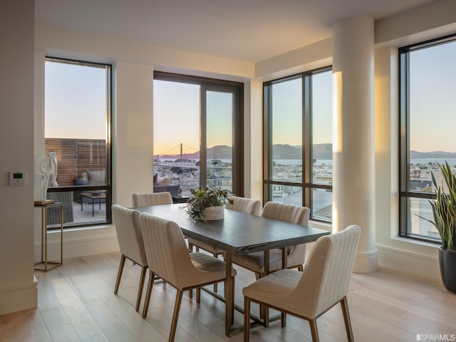 dining area featuring light wood finished floors, baseboards, and a mountain view